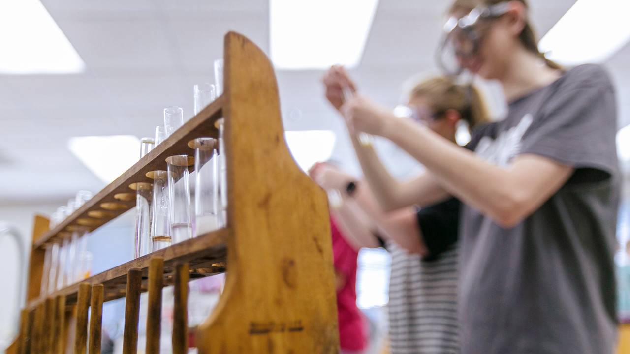 Students in the Patterson School of Natural Sciences