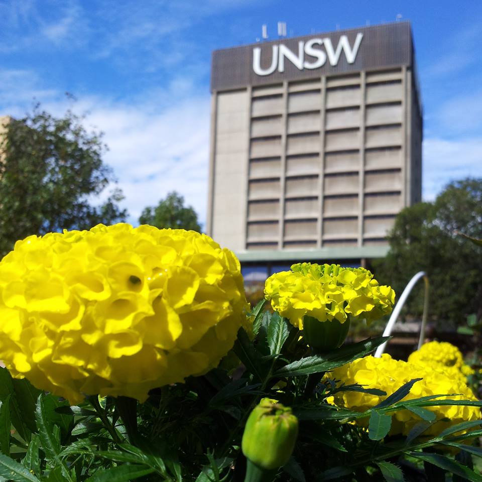 UNSW